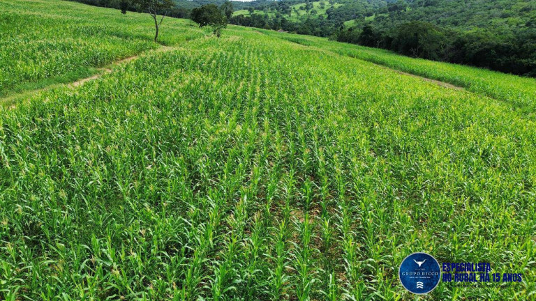 Imagem Chácara à Venda, 21 m² em Zona Rural - Caldas Novas Imagem Chácara à Venda, 21 m² em Zona Rural - Caldas Novas