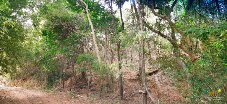 Imagem Imóvel à Venda, 8.650 m² em Caxeta - Campos Dos Goytacazes