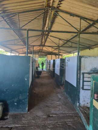 Imagem Imóvel à Venda, em Tatetu - Itapetininga Imagem Imóvel à Venda, em Tatetu - Itapetininga