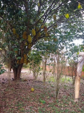 Imagem Chácara com 2 Quartos à Venda, 2.640 m² em Jardim Cananéia - Pilar Do Sul Imagem Chácara com 2 Quartos à Venda, 2.640 m² em Jardim Cananéia - Pilar Do Sul