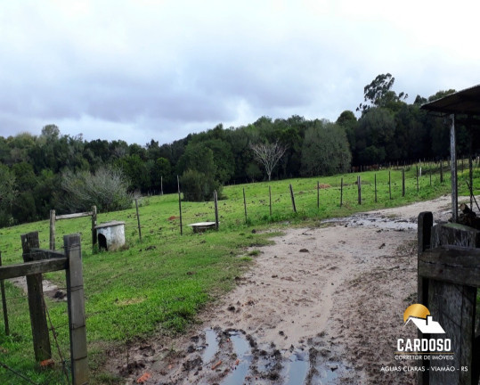 Imagem Imóvel com 3 Quartos à Venda, 350.000 m² em águas Claras - Viamão
