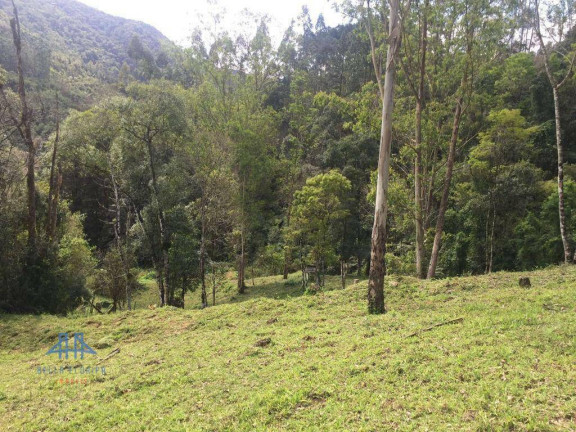 Imagem Terreno à Venda, 152.000 m² em Centro - Anitápolis