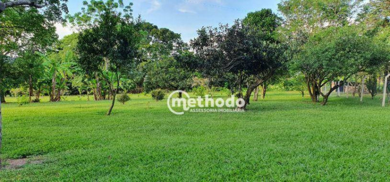 Imagem Fazenda à Venda, 480 m² em Joaquim Egídio - Campinas Imagem Fazenda à Venda, 480 m² em Joaquim Egídio - Campinas