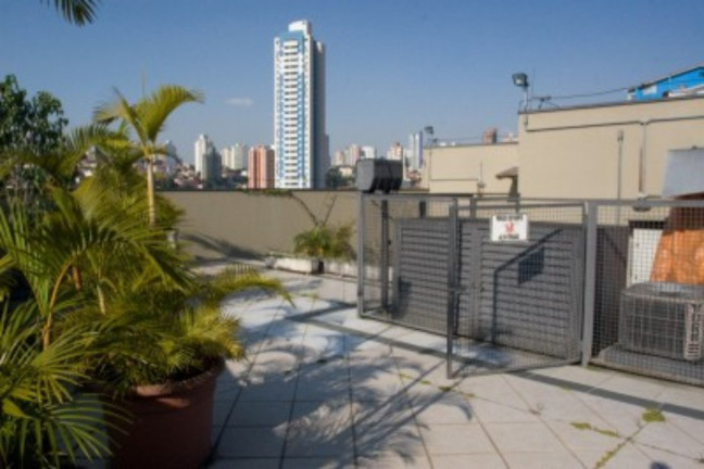 Imagem Imóvel à Venda, 1.200 m² em Vila Anglo Brasileira - São Paulo Imagem Imóvel à Venda, 1.200 m² em Vila Anglo Brasileira - São Paulo