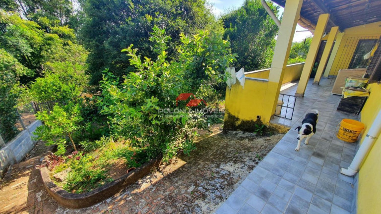 Imagem Chácara com 2 Quartos à Venda, 1.250 m² em Batatuba - Piracaia Imagem Chácara com 2 Quartos à Venda, 1.250 m² em Batatuba - Piracaia