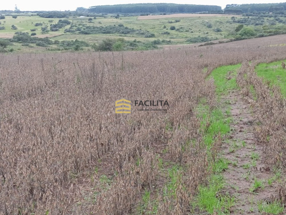 Imóvel à Venda, 415.000 m² em Centro - Pinheiro Machado