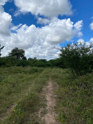 Imagem Fazenda à Venda, 310.000 m² em Br 116 - Euclides Da Cunha Imagem Fazenda à Venda, 310.000 m² em Br 116 - Euclides Da Cunha