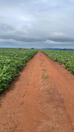 Imagem Fazenda à Venda, 2.698 m² em Rural - Itaporanga Imagem Fazenda à Venda, 2.698 m² em Rural - Itaporanga