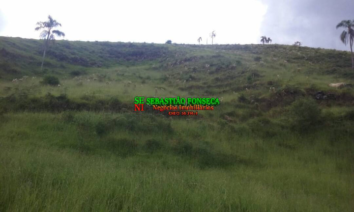 Imagem Chácara à Venda, 484.000 m² em São Francisco Xavier - São José Dos Campos Imagem Chácara à Venda, 484.000 m² em São Francisco Xavier - São José Dos Campos