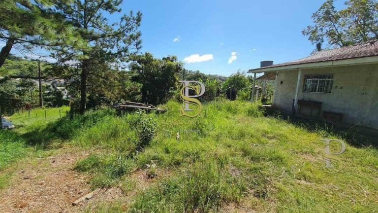 Imagem Imóvel à Venda, 5.000 m² em Terra Preta - Mairiporã Imagem Imóvel à Venda, 5.000 m² em Terra Preta - Mairiporã