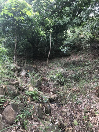 Imagem Terreno à Venda, 1.200 m² em Campo Grande - Rio De Janeiro Imagem Terreno à Venda, 1.200 m² em Campo Grande - Rio De Janeiro
