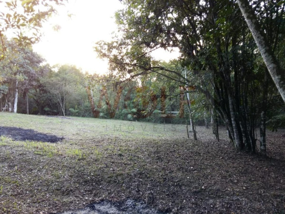 Imagem Terreno à Venda, 12.904 m² em Saiva - Antonina Imagem Terreno à Venda, 12.904 m² em Saiva - Antonina