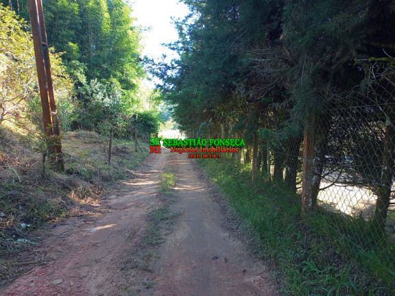 Imagem Chácara com 2 Quartos à Venda, 3 m² em Centro - Paraibuna Imagem Chácara com 2 Quartos à Venda, 3 m² em Centro - Paraibuna