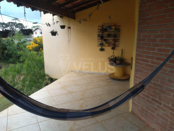 Imagem Imóvel com 1 Quarto à Venda, 3.000 m² em Mato Seco - Itapetininga Imagem Imóvel com 1 Quarto à Venda, 3.000 m² em Mato Seco - Itapetininga