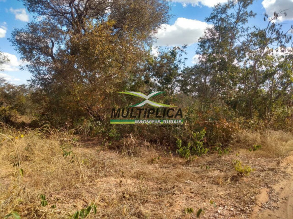 Imagem Fazenda à Venda, 102 m² em Centro - Santa Fé De Minas Imagem Fazenda à Venda, 102 m² em Centro - Santa Fé De Minas