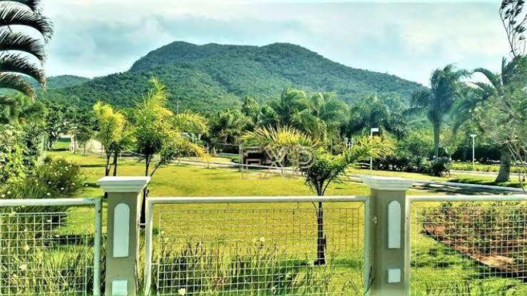 Imagem Terreno à Venda, 472 m² em Ribeirão Da Ilha - Florianópolis Imagem Terreno à Venda, 472 m² em Ribeirão Da Ilha - Florianópolis