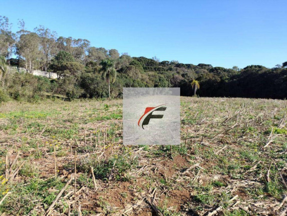 Imagem Terreno à Venda, 15.524 m² em Ganchinho - Curitiba Imagem Terreno à Venda, 15.524 m² em Ganchinho - Curitiba