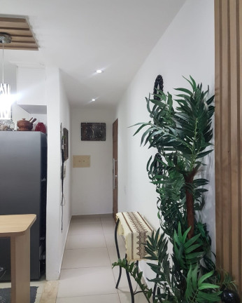 Imagem Apartamento com 3 Quartos à Venda, 59 m² em Jardim Santo Antônio - São Paulo Imagem Apartamento com 3 Quartos à Venda, 59 m² em Jardim Santo Antônio - São Paulo
