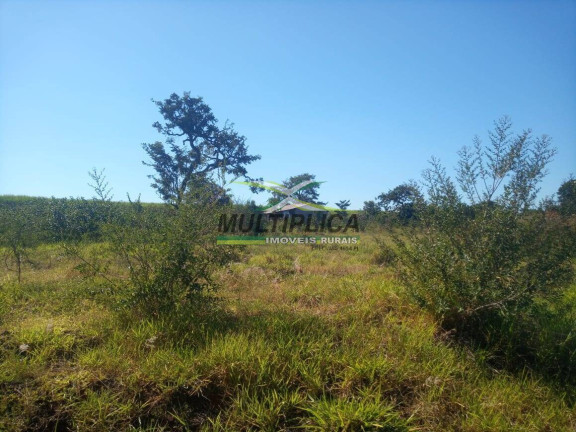 Imagem Fazenda à Venda, 135 m² em Prata Imagem Fazenda à Venda, 135 m² em Prata