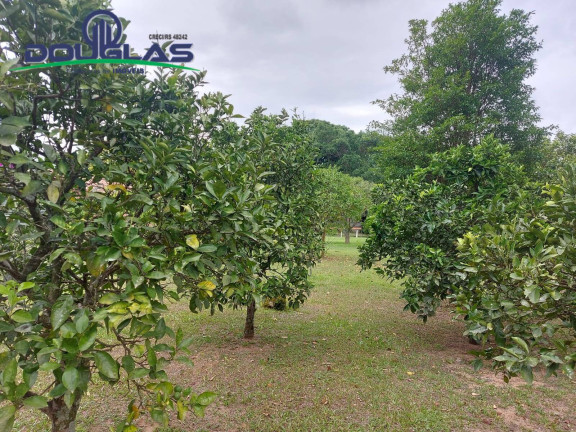 Imagem Terreno à Venda, em águas Claras - Viamão Imagem Terreno à Venda, em águas Claras - Viamão