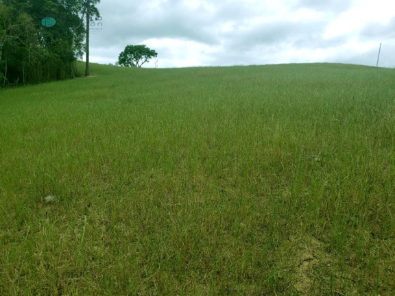 Imagem Imóvel à Venda, 70.000 m² em Zona Rural - Alfredo Wagner Imagem Imóvel à Venda, 70.000 m² em Zona Rural - Alfredo Wagner