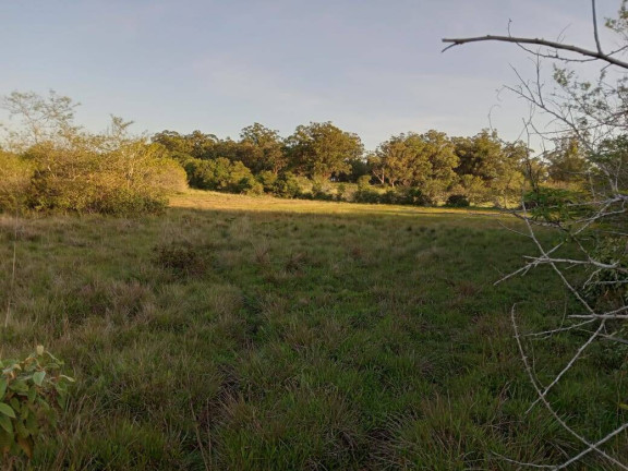 Imagem Chácara à Venda, 47.000 m² em Itapuã - Viamão Imagem Chácara à Venda, 47.000 m² em Itapuã - Viamão