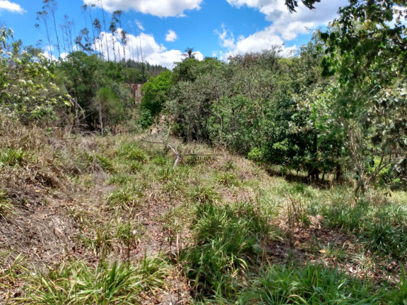 Imagem Imóvel à Venda, 48.000 m² em São Marcos - Bofete