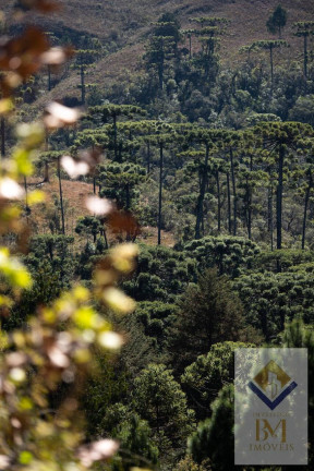 Imagem Casa com 5 Quartos à Venda, 1 m² em Campos Do Jordão