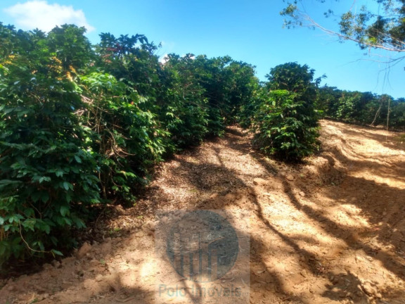Imagem Imóvel à Venda, 4 m² em Rural - Jacuí Imagem Imóvel à Venda, 4 m² em Rural - Jacuí