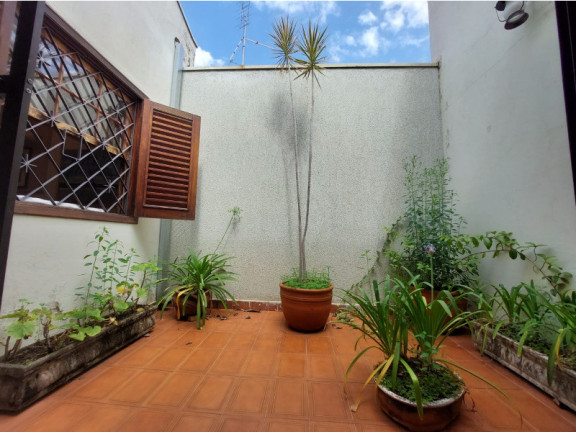 Imagem Casa com 3 Quartos para Alugar, 185 m² em Taquaral - Campinas Imagem Casa com 3 Quartos para Alugar, 185 m² em Taquaral - Campinas