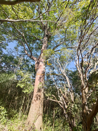 Imagem Terreno à Venda, 20.000 m² em Piedade Do Paraopeba - Brumadinho Imagem Terreno à Venda, 20.000 m² em Piedade Do Paraopeba - Brumadinho