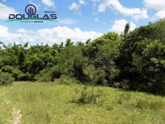 Imagem Chácara com 2 Quartos à Venda, 190.000 m² em Viamão Imagem Chácara com 2 Quartos à Venda, 190.000 m² em Viamão