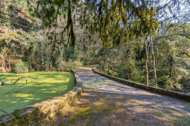 Imagem Imóvel com 4 Quartos à Venda, 99.615 m² em Rondinha - Campo Largo