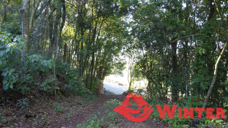 Imagem Chácara à Venda, 8.837 m² em Bom Princípio Imagem Chácara à Venda, 8.837 m² em Bom Princípio