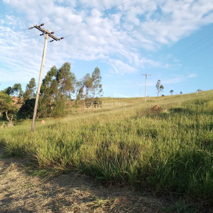 Imagem Imóvel com 2 Quartos à Venda, 266.000 m² em Branco - Lavrinhas