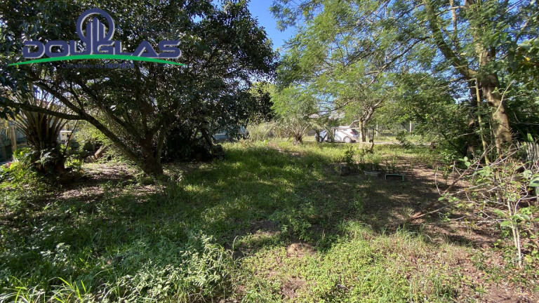 Imagem Terreno à Venda, 600 m² em Viamão
