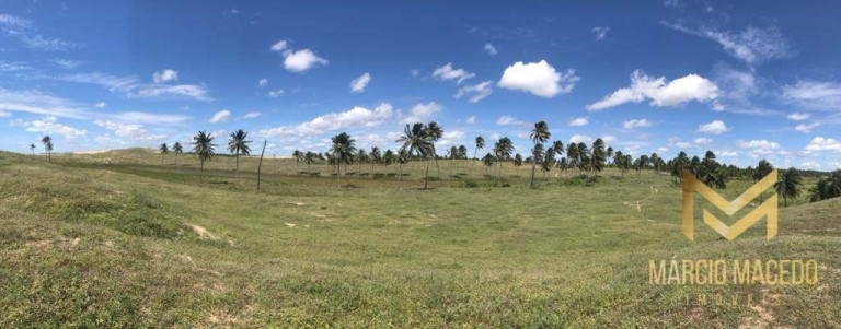 Imagem Terreno à Venda, 6.258.000 m² em Zona Rural - Itapipoca Imagem Terreno à Venda, 6.258.000 m² em Zona Rural - Itapipoca