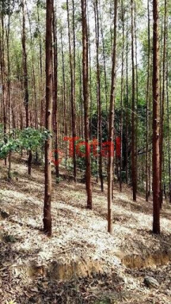 Terreno à Venda, 70.000 m² em Zona Rural - Marliéria