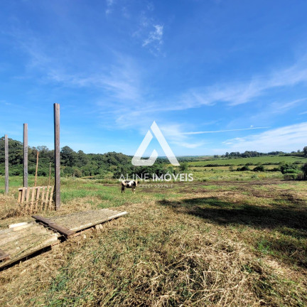 Imagem Fazenda à Venda, 40 m² em Vila Nova - Cruz Alta Imagem Fazenda à Venda, 40 m² em Vila Nova - Cruz Alta