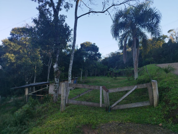 Imagem Terreno à Venda, 2.800 m² em Borghetto - Garibaldi Imagem Terreno à Venda, 2.800 m² em Borghetto - Garibaldi