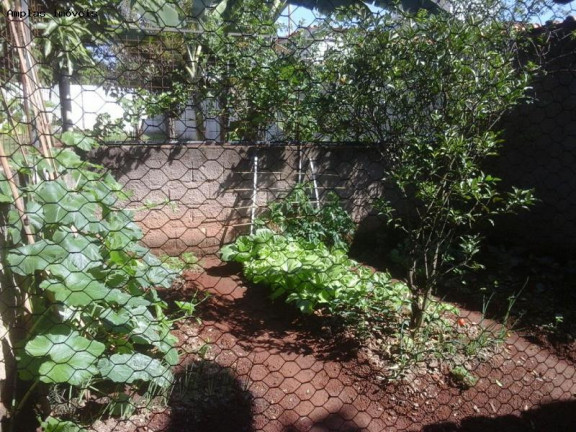 Imagem Chácara com 3 Quartos à Venda, 296 m² em Vila Suzana - Mateus Leme