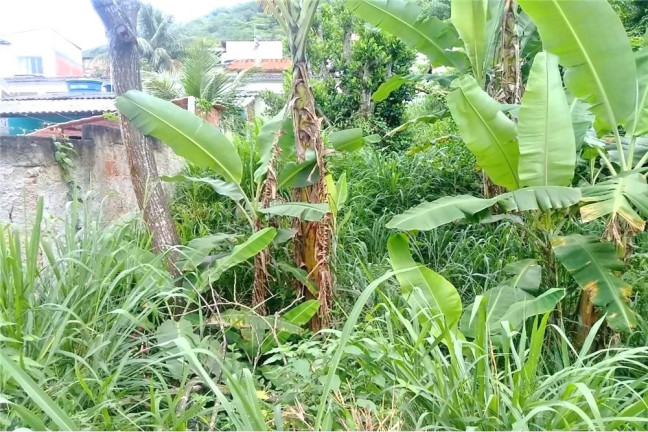 Imagem Terreno à Venda, 330 m² em Guaratiba - Rio De Janeiro Imagem Terreno à Venda, 330 m² em Guaratiba - Rio De Janeiro