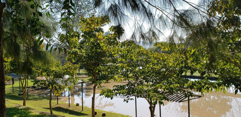 Imagem Fazenda à Venda, 5 m² em Centro - Guareí Imagem Fazenda à Venda, 5 m² em Centro - Guareí