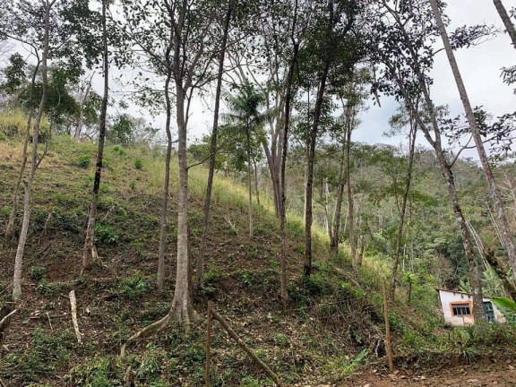 Imagem Chácara com 3 Quartos à Venda, 81 m² em Riograndina - Nova Friburgo