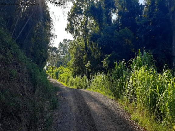 Imagem Terreno à Venda, 13.823 m² em Linha Olinda - Nova Petrópolis Imagem Terreno à Venda, 13.823 m² em Linha Olinda - Nova Petrópolis