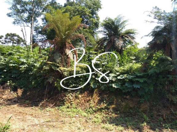 Imagem Imóvel à Venda, 1.000 m² em Serra Grande - Igrejinha
