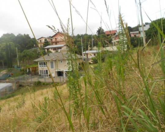 Imagem Terreno à Venda, 450 m² em Juriti - Nova Petrópolis