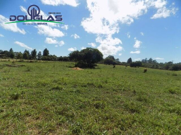 Imagem Terreno à Venda, 1.100 m² em águas Claras - Viamão Imagem Terreno à Venda, 1.100 m² em águas Claras - Viamão