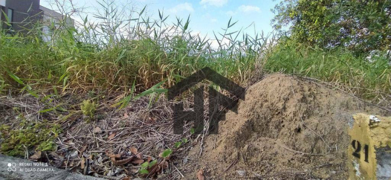 Imagem Chácara com 7 Quartos à Venda, 49.736 m² em Aldeia - Camaragibe Imagem Chácara com 7 Quartos à Venda, 49.736 m² em Aldeia - Camaragibe