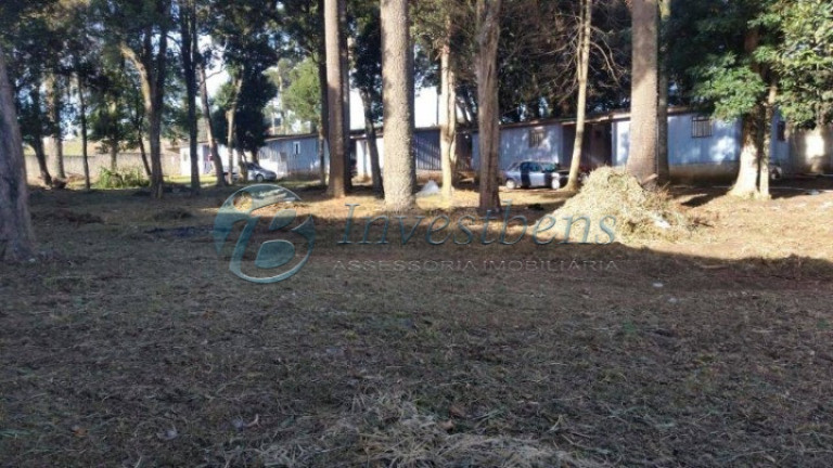 Imagem Terreno à Venda, 3.000 m² em Pinheirinho - Curitiba Imagem Terreno à Venda, 3.000 m² em Pinheirinho - Curitiba